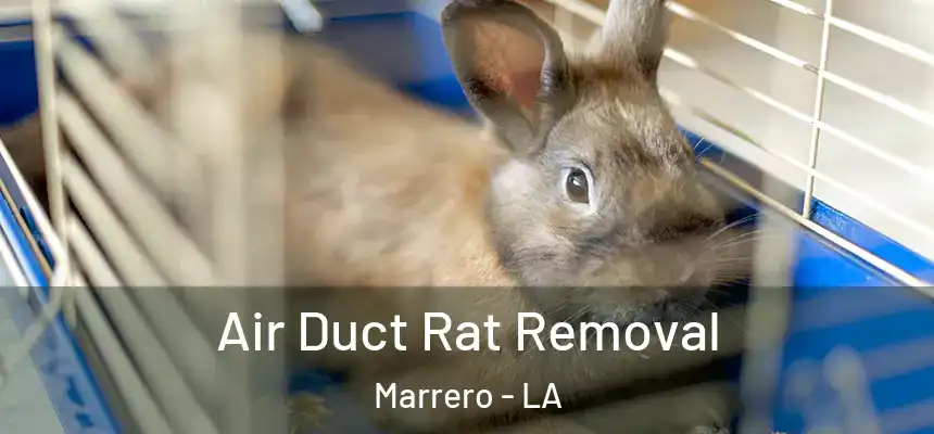  Air Duct Rat Removal Marrero - LA