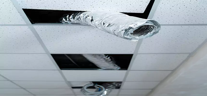 Affordable HVAC Sanitizing After Pest Removal in Marrero