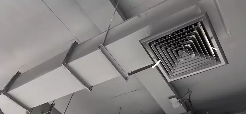 Our Pest Removal From Ducts Services in Marrero, LA