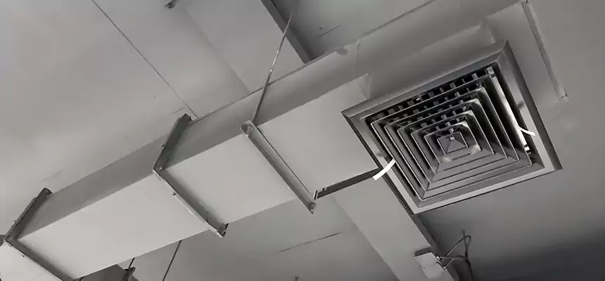 Our Rodent Droppings In Vents Services in Marrero, LA