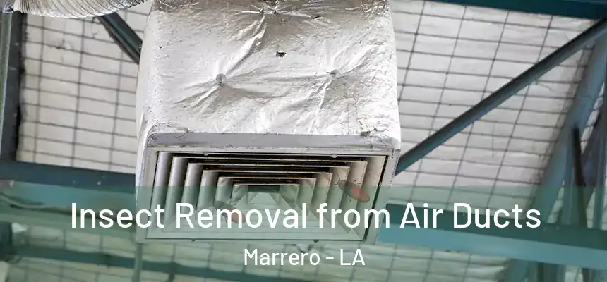  Insect Removal from Air Ducts Marrero - LA