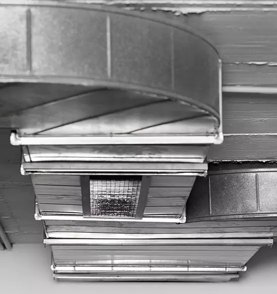 Professional Air Duct Pest Removal in Marrero, LA