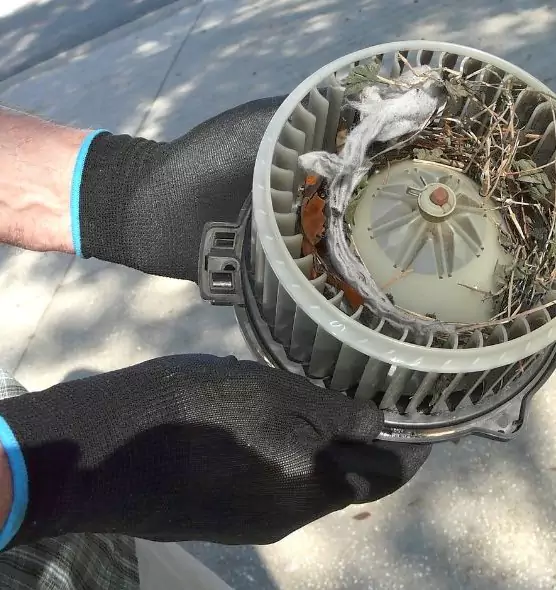 About Air Duct Rat Removal in Marrero, LA