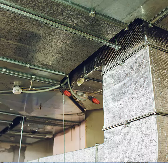 Why Homeowners & Businesses Trust Us in Marrero, LA?