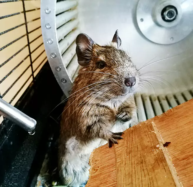 Why Homeowners & Businesses Trust Us Marrero, LA