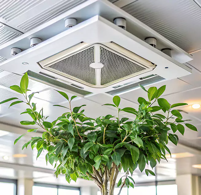 Why Homeowners & Businesses Trust Us in Marrero, LA